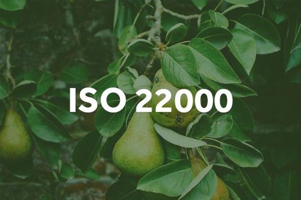 EN ISO 22000 Системи керування безпечністю харчових продуктів